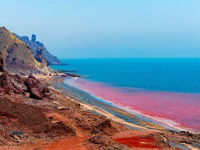 جلبک دریای عمان، منبع ارزشمند آنتی‌اکسیدان