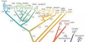 کارگاه «سیستماتیک مولکولی با استفاده از رویکرد Bayesian» برگزار می‌شود