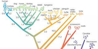 کارگاه «سیستماتیک مولکولی با استفاده از رویکرد Bayesian» برگزار می‌شود