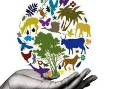 وبینار نقش رویکردهای مشارکتی در حفاظت از تنوع زیستی