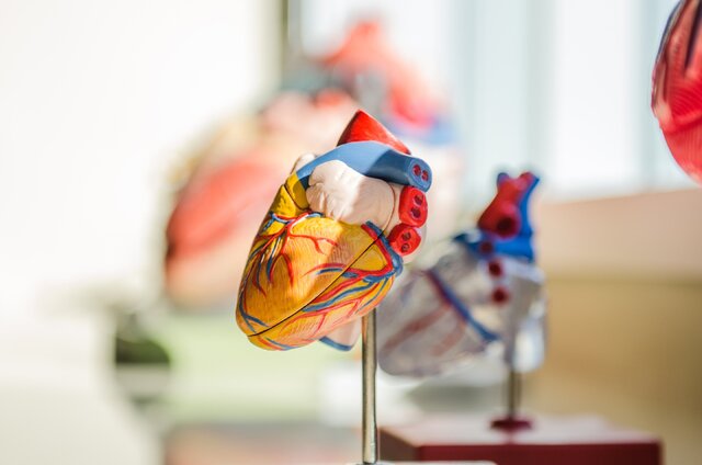 ابداع قلب مصنوعی جدید با قابلیت تنظیم خودکار
