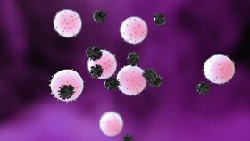 شناسایی  ۴۸ مورد جدید مبتلا به کرونا ویروس در ایلام