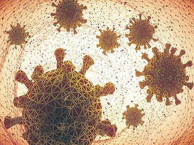 شناسایی ۵۹ مورد جدید مبتلا به کرونا ویروس در ایلام