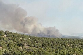 آغاز فصل آتش سوزی های جنگلی در آمریکا