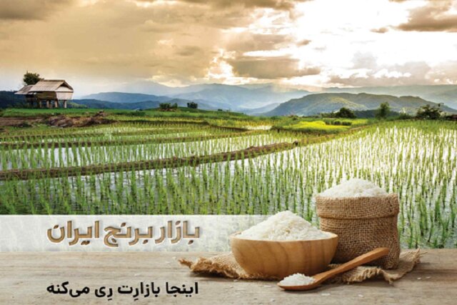 رفع موانع تولید در تنها بازار تخصصی برنج ایران