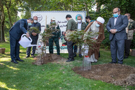 کاشت دو نهال برای یادبود مهشادکریمی خبرنگار ایسنا و ریحانه یاسینی خبرنگار ایرنا در محوطه سازمان جنگلها، مراتع و آبخیزداری