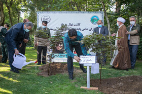 کاشت دو نهال برای یادبود مهشادکریمی خبرنگار ایسنا و ریحانه یاسینی خبرنگار ایرنا در محوطه سازمان جنگلها، مراتع و آبخیزداری