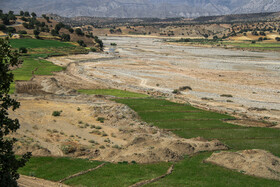 به طور تقریبی حدود ۸۰ درصد آب مورد نیاز اراضی کشاورزی حاشیه رودخانه از کشکان تامین می‌شود. برنج بیشتر محصول کشت شده در بخش شاهیوند  است.