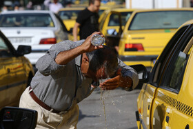 تداوم روند افزایش دمای هوا تا آخر هفته در بوشهر