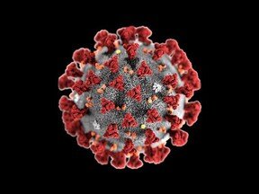 پاسخ به ۵ پرسش اساسی در مورد سویه دلتا ویروس کووید-۱۹