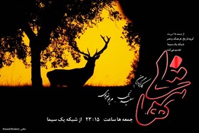 «تنهایی» با محیط زیست در تلویزیون