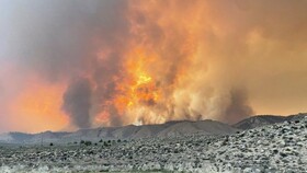وقوع بیش از ۶۰ مورد آتش سوزی جنگلی در غرب آمریکا