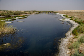 بند شاخ کنار آخرین بند در مسیر رودخانه به سمت تالاب گاوخونی است.درحال حاضر با جاری شدن آب زهکش به سمت تالاب، این آب درطول مسیر تبخیر شده و به بدنه تالاب نمیرسد و خشک می شود.