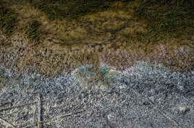 تالاب گاوخونی در روزگار خشکی!