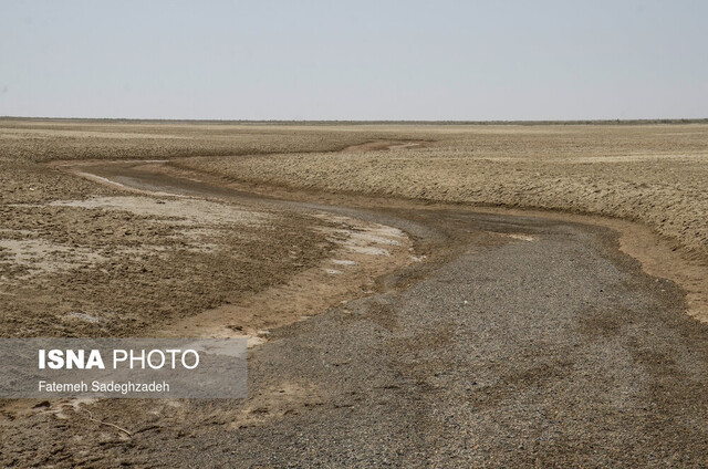 ۹۸ درصد از تالاب بین المللی گاوخونی خشک است