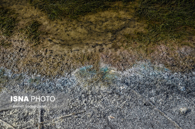 نحوه مدیریت آب عامل محرومیت تالاب‌ها از حق طبیعی‌شان