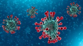 شناسایی ۲۸۳ مورد جدید مبتلا به کرونا ویروس در ایلام
