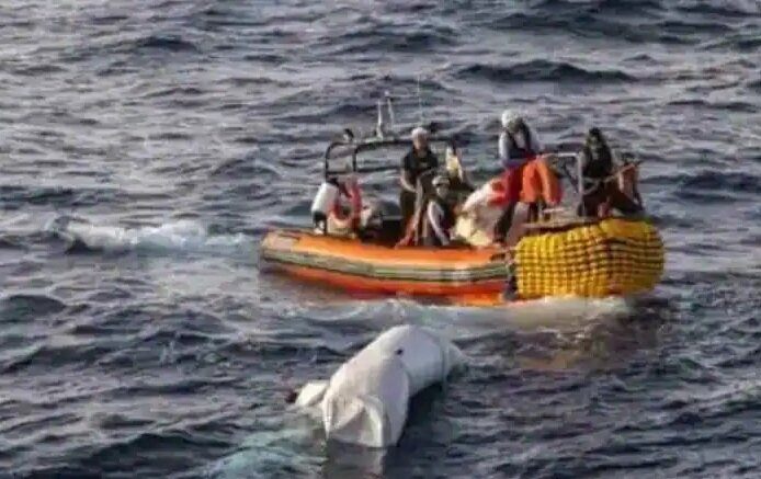 امداد،محلي،عمليات،حادثه،توانسته_اند