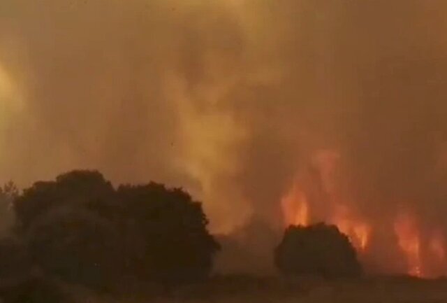درخواست ایتالیا از اروپا برای کمک به مهار آتش سوزی های جنگلی