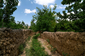 کوچه باغ‌های روستای «خیج» و «کلاته خیج»