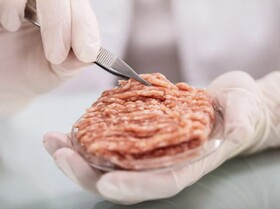 شرکت مشهور صنایع غذایی در جستجوی تولید گوشتی متفاوت