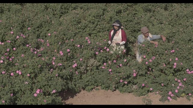 «ایران‌زاد» به کاشان و اصفهان رسید