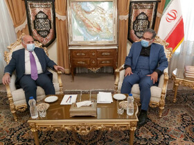 وزیر خارجه عراق با شمخانی دیدار کرد