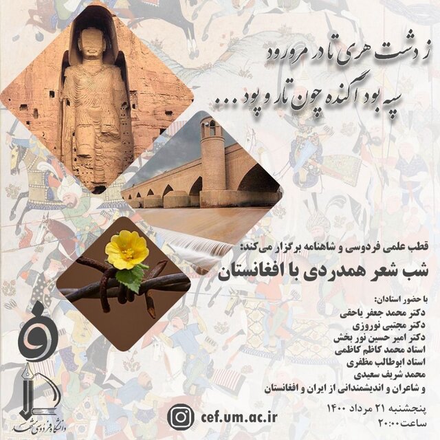 «همدردی با افغانستان»