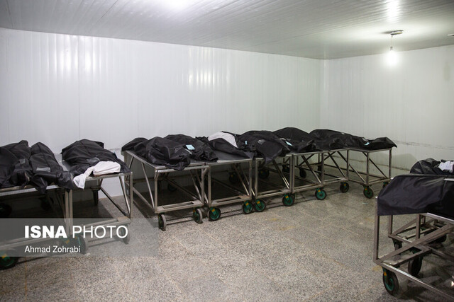 عکس خبر آرشیوی است. سونامی "مرگ"