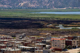 سوختن ۷۹ هکتار از نیزارهای دریاچه «زریبار»