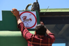 اقدامات انجام شده برای حفاظت از خجالتی‌ترین پرنده ایران