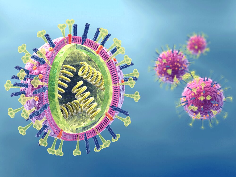 “آنزیم‌های کارآگاه” محل اختفای ویروس‌ها را پیدا می‌کنند!