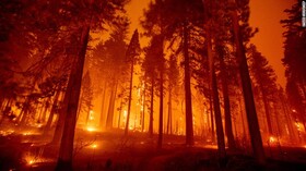 هشدار آتش سوزی های جنگلی جدید در کالیفرنیا