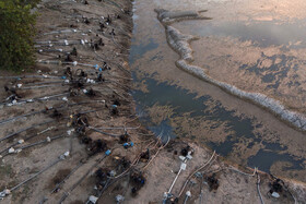 مازندران به علت شرایط اقلیمی  و اراضی حاصلخیزش  قطب اصلی کشت برنج در کشور محسوب میشود اما  به علت کاهش نزولات آسمانی و افزایش دمای هوا  در این سالها با معضل جدی کمبود آب  مواجه است و برخی از اراضی تحت کشت برنج به علت کمبود آب خشک شده و خساراتی برای کشاورزان مازندرانی به وجود آورده است. از سوی دیگر این خشکسالیها بروی زیستگاه پرندگان و موجودات آبزی نظیر آب بندان لپو زاغمرز بهشهر تاثیرات مخربی دارد . ایجاد سدها در مسیل رودخانه ها از دیگر مشکلاتی است که مازندران با آن دست پنجه نرم میکند.