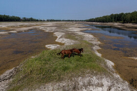 مازندران به علت شرایط اقلیمی  و اراضی حاصلخیزش  قطب اصلی کشت برنج در کشور محسوب میشود اما  به علت کاهش نزولات آسمانی و افزایش دمای هوا  در این سالها با معضل جدی کمبود آب  مواجه است و برخی از اراضی تحت کشت برنج به علت کمبود آب خشک شده و خساراتی برای کشاورزان مازندرانی به وجود آورده است. از سوی دیگر این خشکسالیها بروی زیستگاه پرندگان و موجودات آبزی نظیر آب بندان لپو زاغمرز بهشهر تاثیرات مخربی دارد . ایجاد سدها در مسیل رودخانه ها از دیگر مشکلاتی است که مازندران با آن دست پنجه نرم میکند.