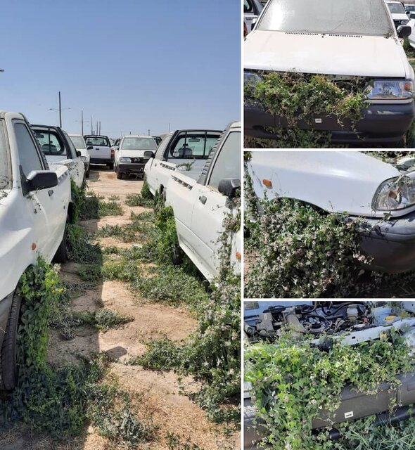 حدادی: صنعت خودرو می‌تواند موجب رشد اقتصادی شود اگر...