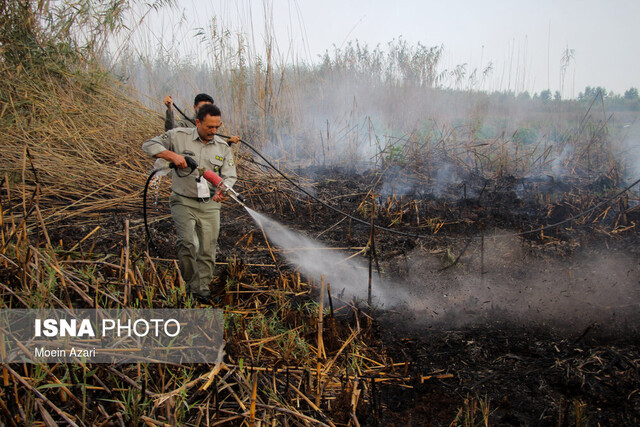 انتقاد از برخورد ناکافی با آتش‌افروزان در منابع طبیعی