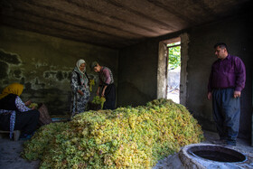 مراسم بولاو گیری در روستای دولاب که به عنوان میراث ملی به ثبت رسیده است.