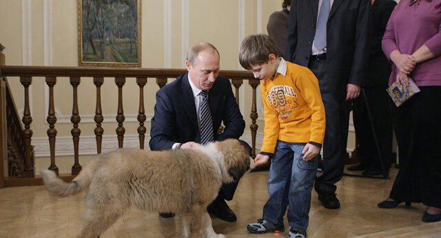 ژاپنیها میخواهند سگ اهدایی به پوتین را پس بگیرند ژاپنیها میخواهند سگ اهدایی به پوتین را پس بگیرند