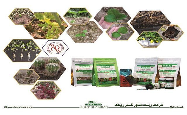 بهترین راه برای تقویت رشد گیاهان کدام است؟