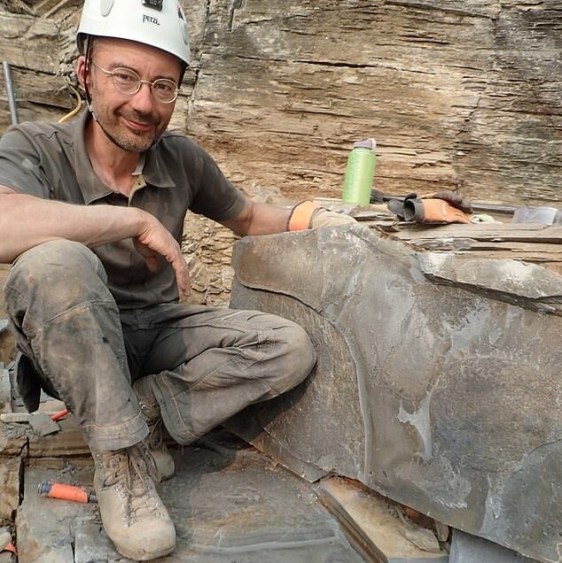 کشف گونه جدیدی از بندپایان متعلق به ۵۰۰ میلیون سال قبل!
