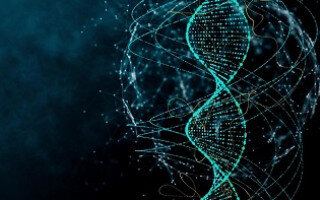 برگزاری کارگاه آموزشی طراحی پرایمر با نرم‌افراز Oligo ۷ 