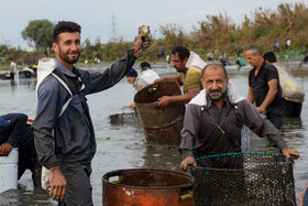 ماهیگیری سنتی در رودبست بابلسر مازندران