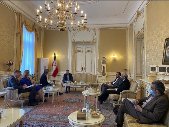 دیدار قائم مقام وزیر خارجه اتریش و رئیس سازمان انرژی اتمی ایران
