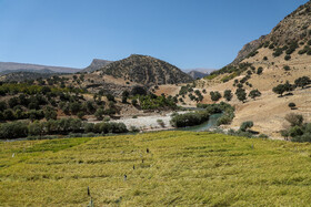 روستای وَش نطنز ثبت ملی می‌شود