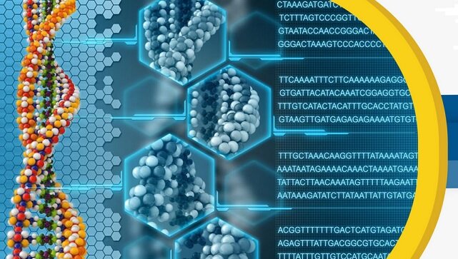 چهارمین دوره آموزشی بیوانفورماتیک جامع