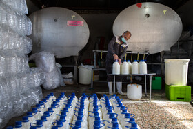 شیرهای تولید شده پس از انجام آزمایش‌های سنجش کیفیت در ظرف‌های مخصوصی ریخته و به قسمت فروش منتقل می‌شود.