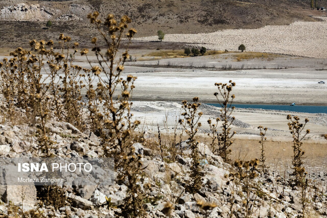برابری گونههای گیاهی ایران با اروپا