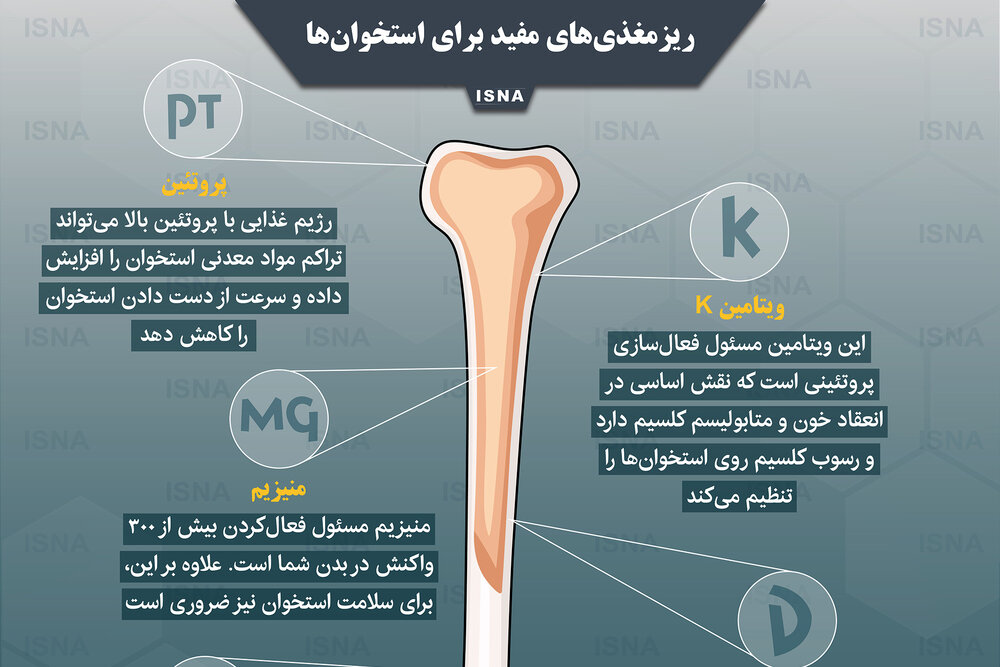 اینفوگرافیک / ریزمغذی‌های مفید برای استخوان‌ها