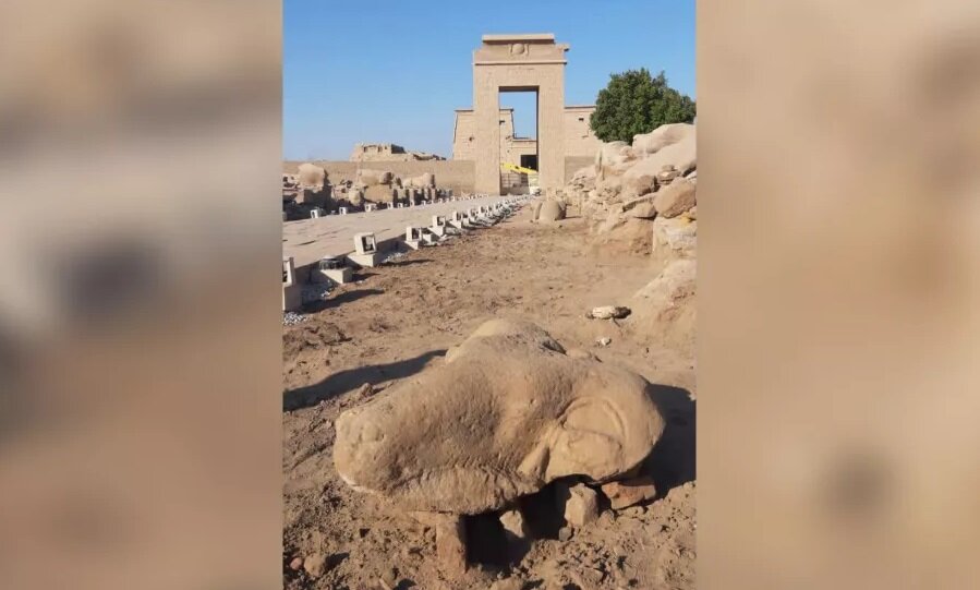 کشف مجسمه‌های تاریخی قوچ در مصر
